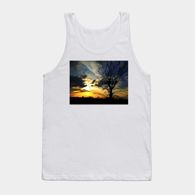 Sunset over Gosbecks Archaeological Park Tank Top by newbeltane